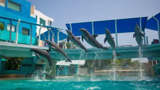 Interactive Aquarium Guide, Review, Hacks & AI Concierge